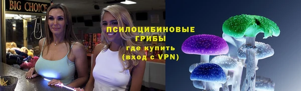 spice Армянск
