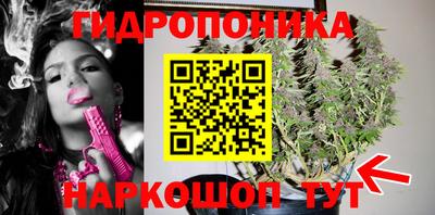 spice Лесосибирск