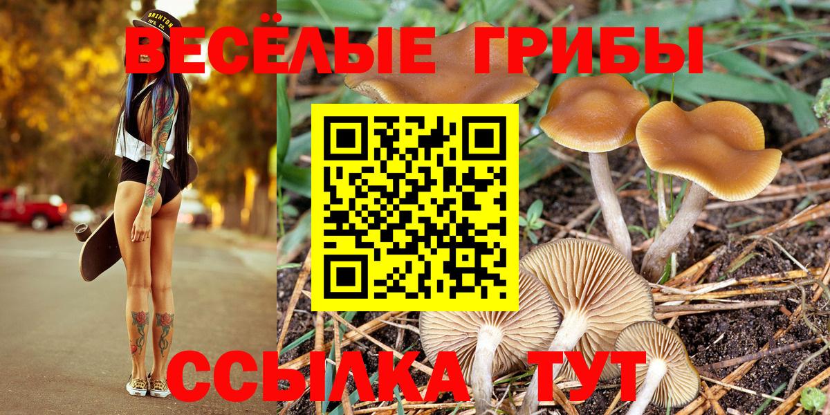 Псилоцибиновые грибы GOLDEN TEACHER  Вход с VPN  Тулун 